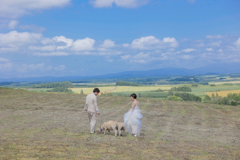 北海道で動物と触れ合えます!!