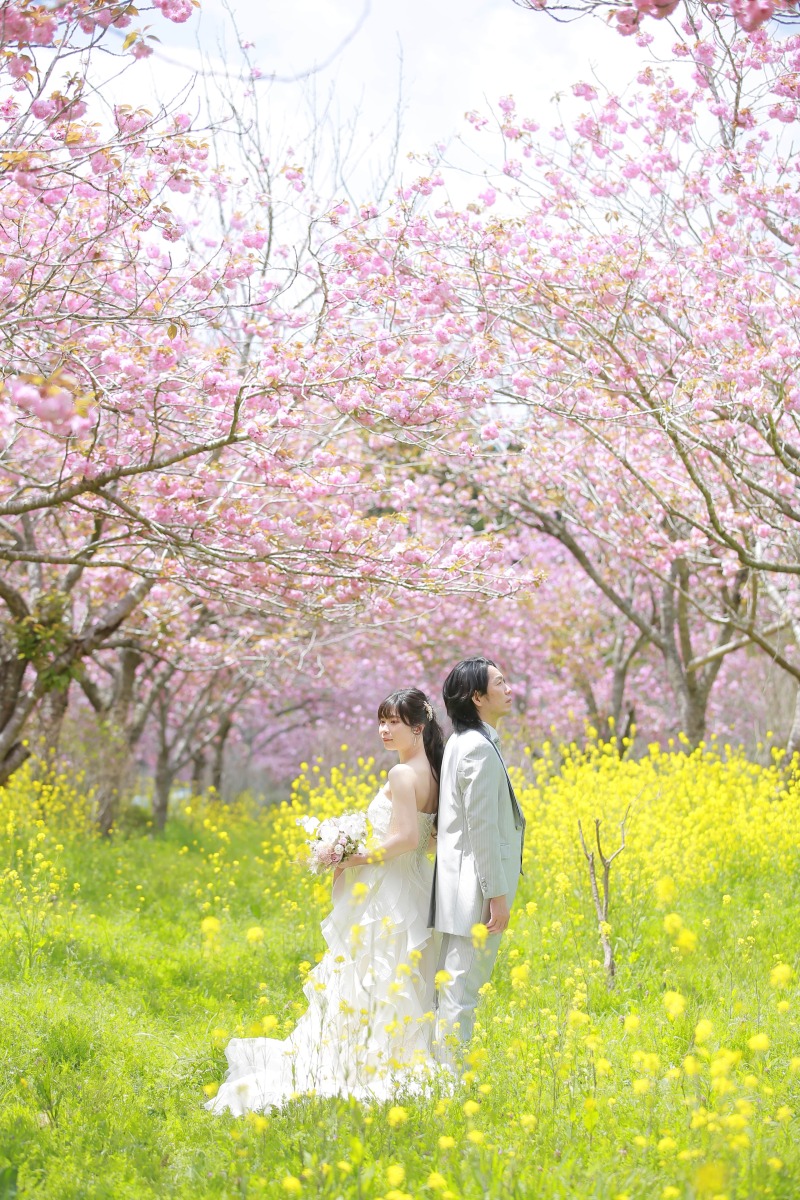 春の富士山で華やかな撮影しませんか?