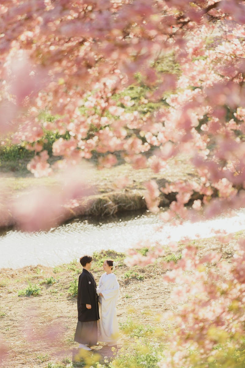 河津桜ロケーション撮影！