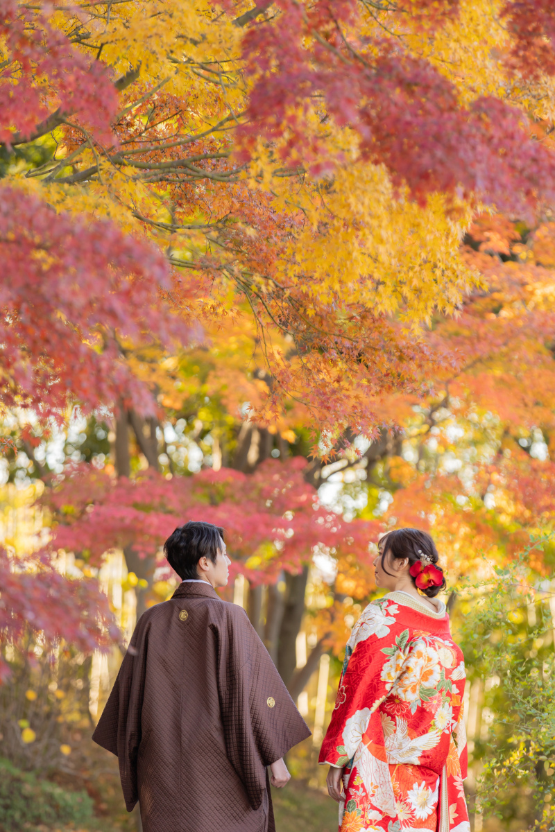 秋晴れの空、紅葉と