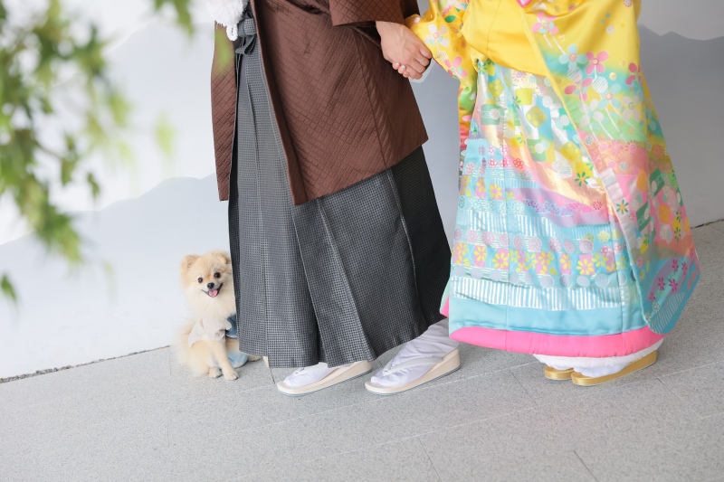 愛犬と一緒に浅草周遊