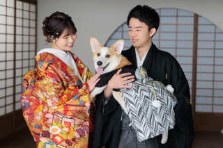 ワンちゃんと屋内庭園スタジオ！