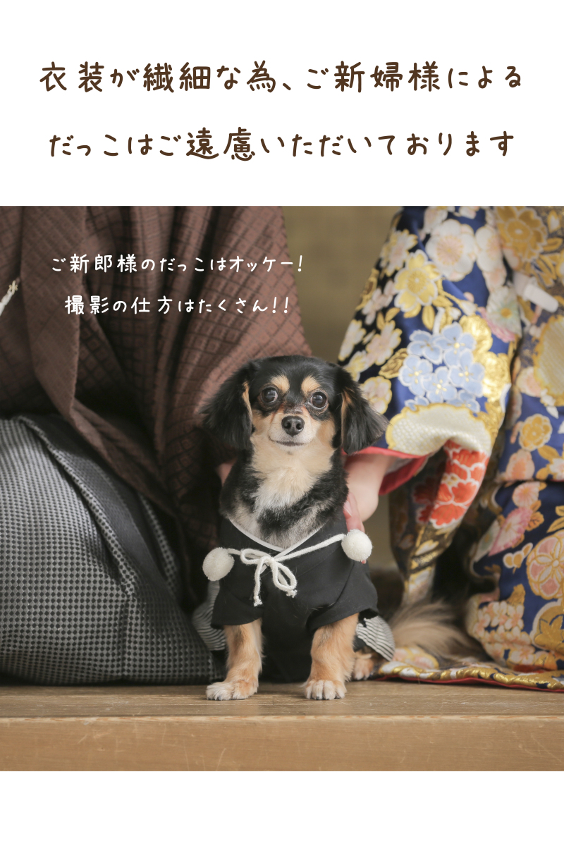ペット撮影時のお願い