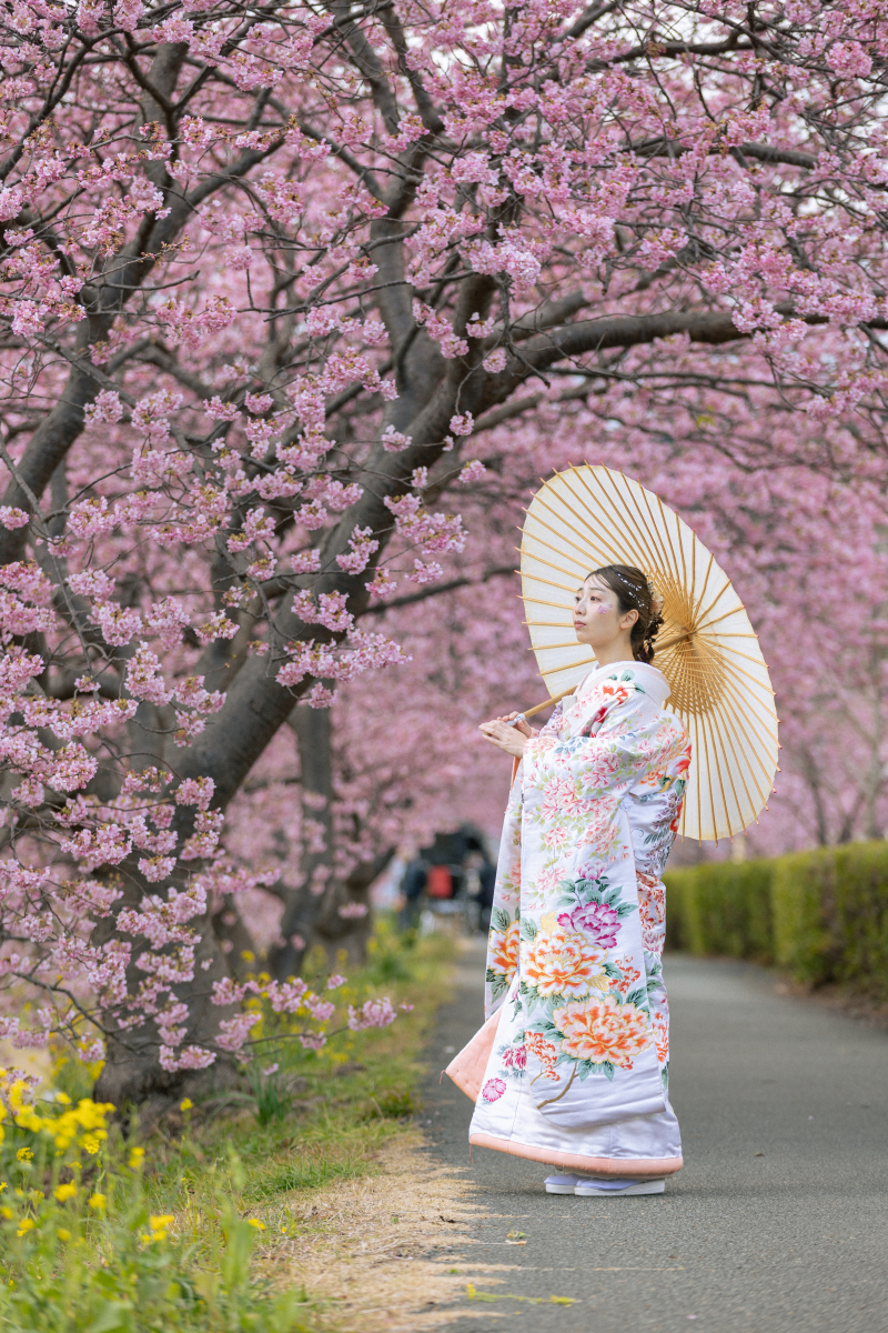 河津桜