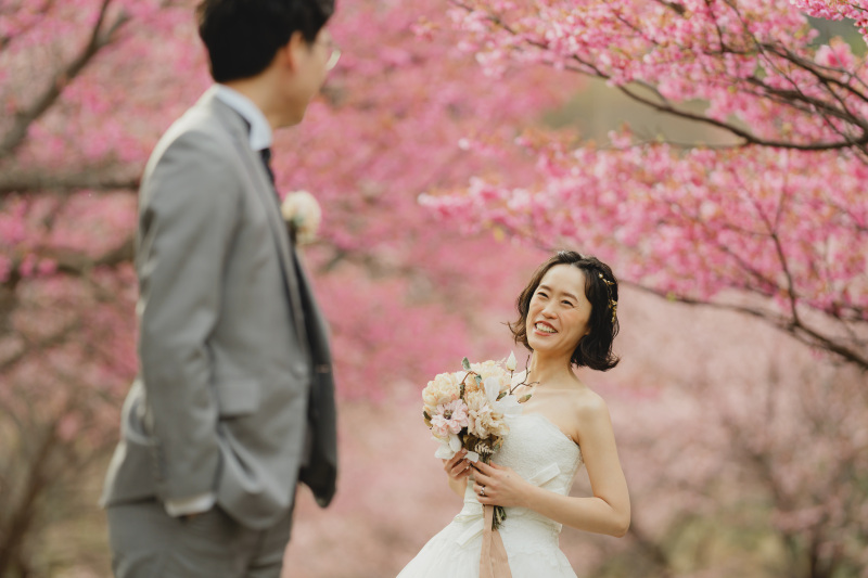 【河津桜】四季を目一杯感じに行きませんか?