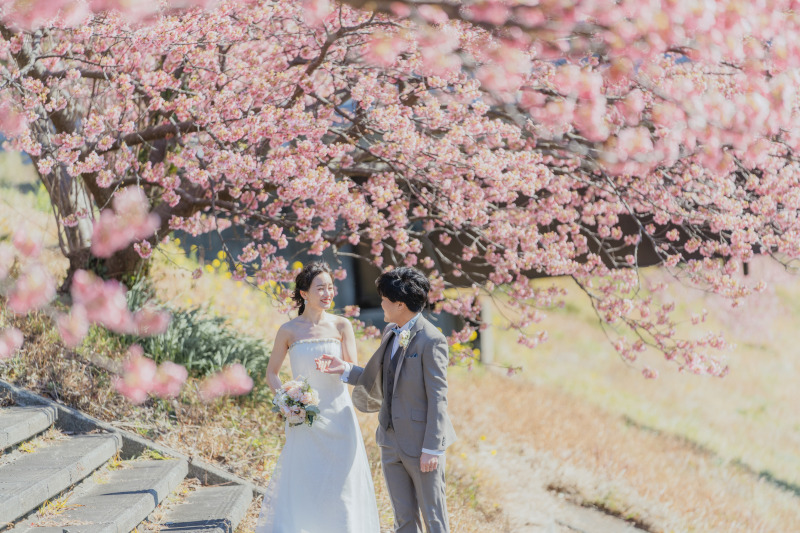河津桜と一緒に素敵な写真を残しましょう♫