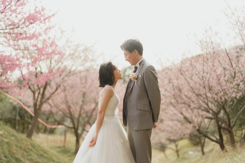 【河津桜】四季を目一杯感じに行きませんか?