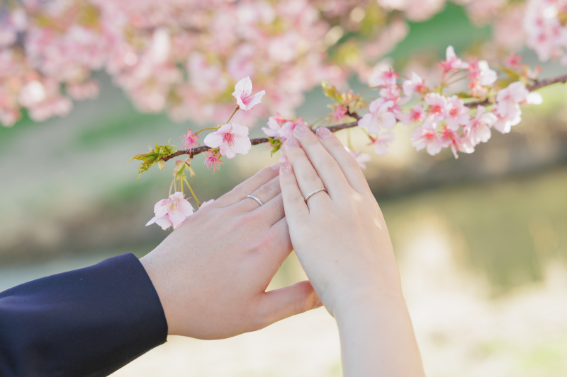 早咲きの桜のもとで【河津桜ロケーション】
