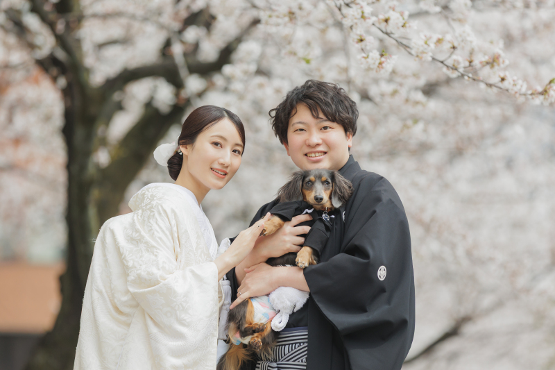 春といえば！桜の浅草ロケ紹介！