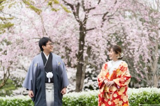 【花田苑】桜ロケーション