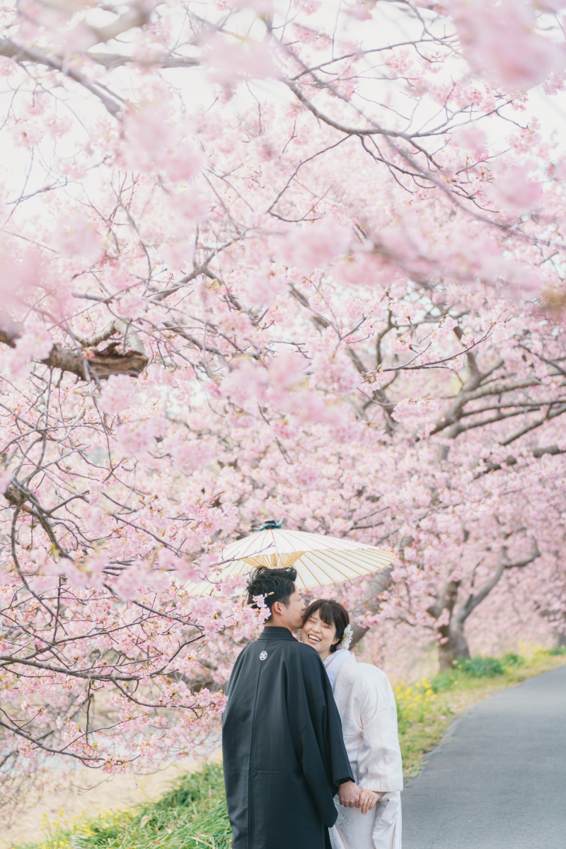 残りわずか！河津桜での撮影を楽しみませんか？