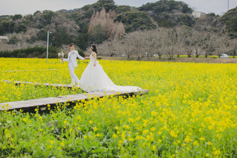 残りわずか！河津桜での撮影を楽しみませんか？
