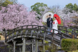 満開の桜の中で
