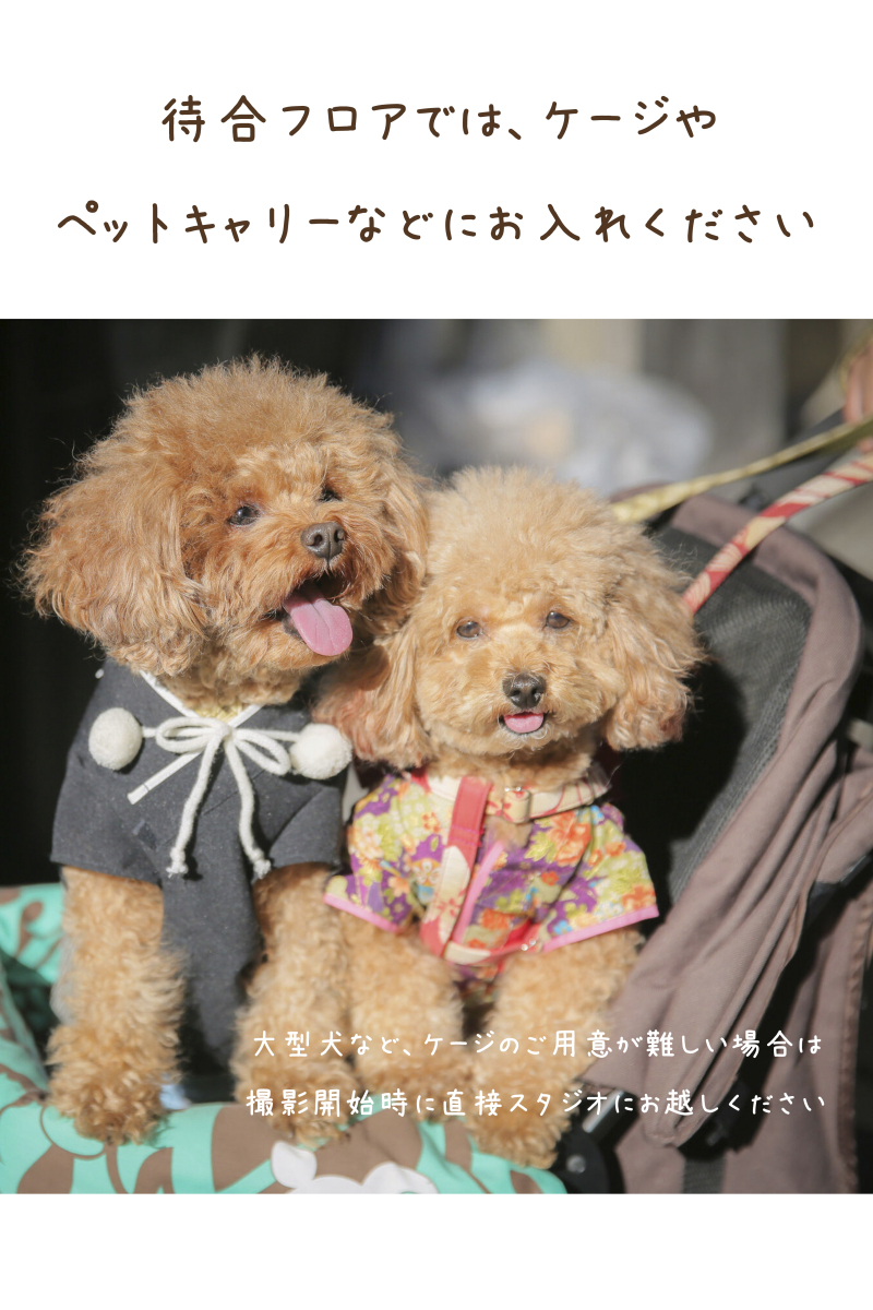 ペット撮影時のお願い
