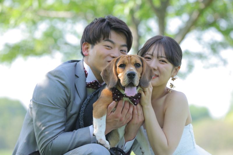 ワンちゃんとの撮影はいかがですか♪