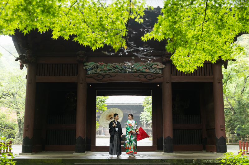 雨でも映える!新緑の妙本寺撮影