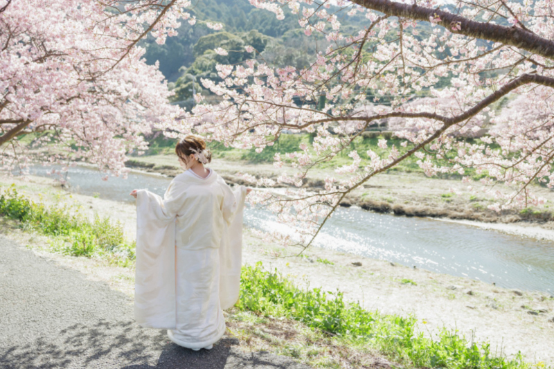 2026年の河津桜ロケーション