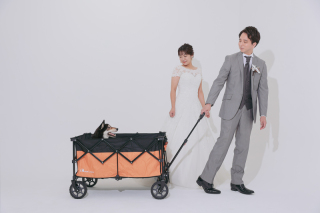 ワンちゃんとハウス