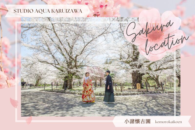 軽井沢で桜撮影