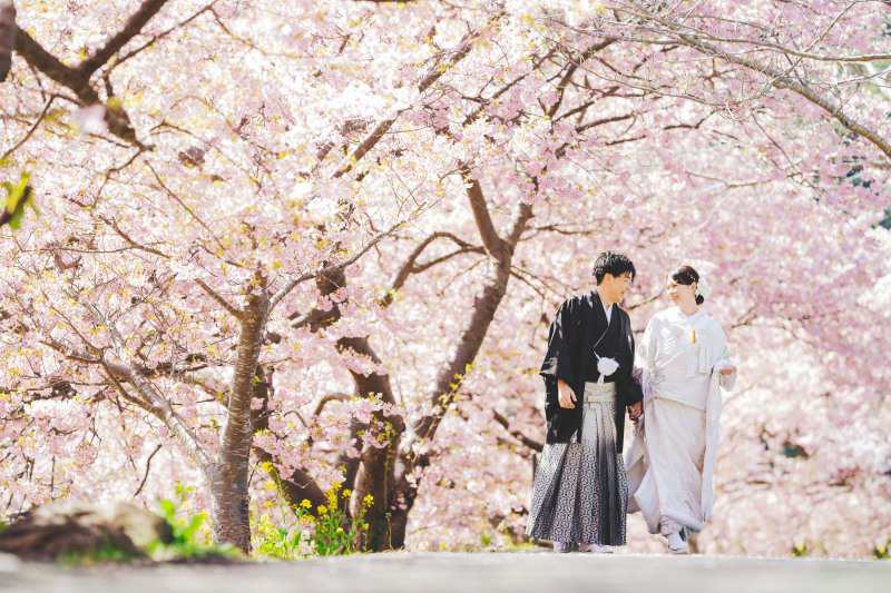 河津桜のいいところ!