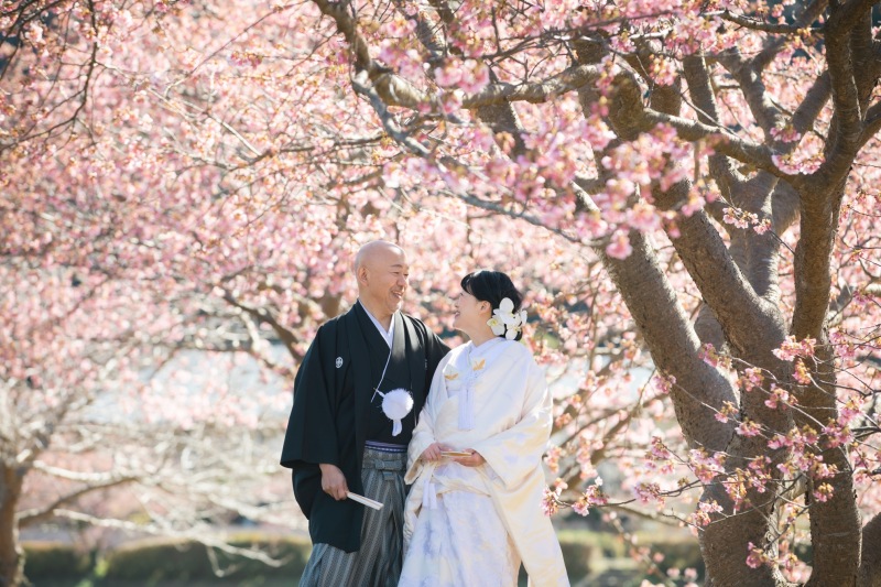 河津桜のシーズンがまもなく、、