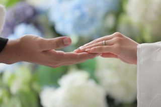 天候を気にせずに撮影が楽しめる屋内庭園スタジオ!