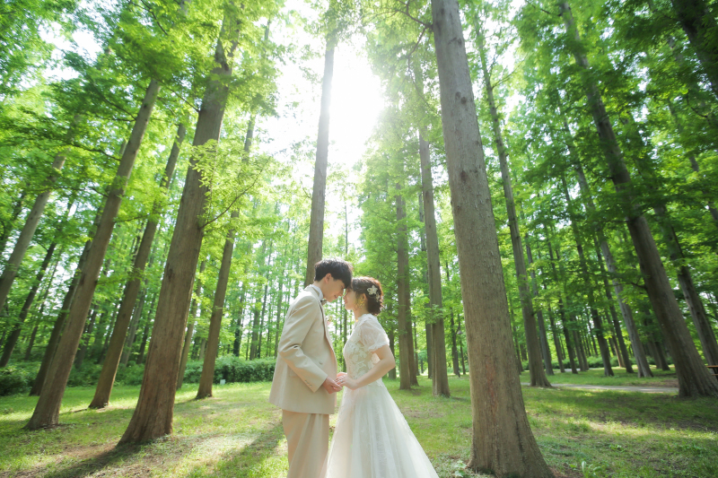 新緑ロケ、とっても綺麗です!