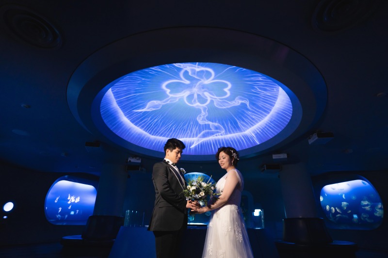 新江ノ島水族館