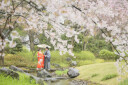 【桜&times;日本庭園】花田苑ロケーション ご予約受付中！