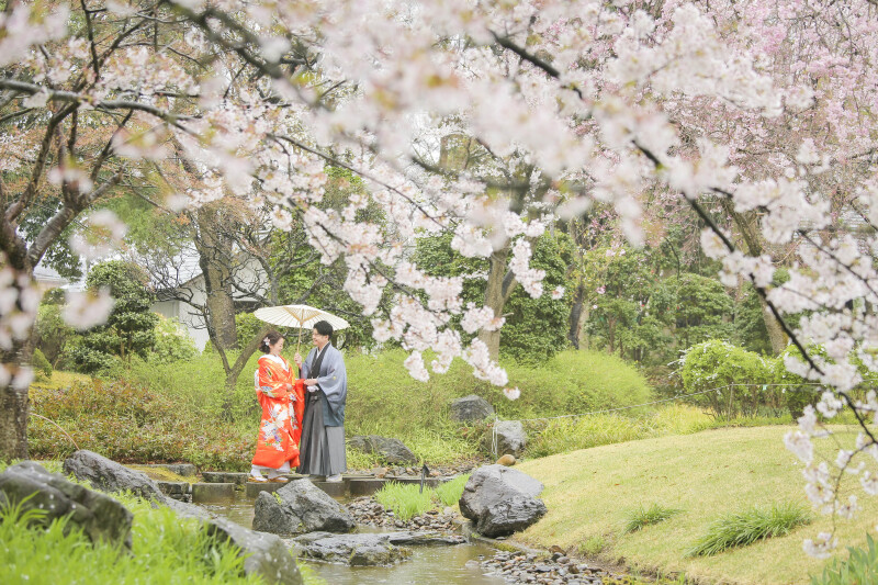 【桜×日本庭園】花田苑ロケーション ご予約受付中！
