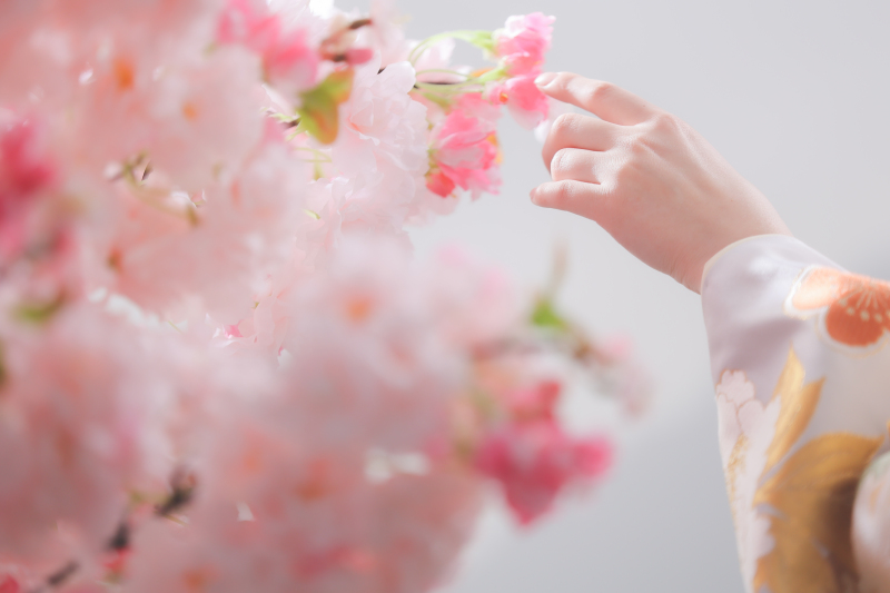 屋内庭園スタジオ(桜)