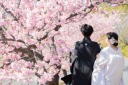 河津桜に合うヘアメイク