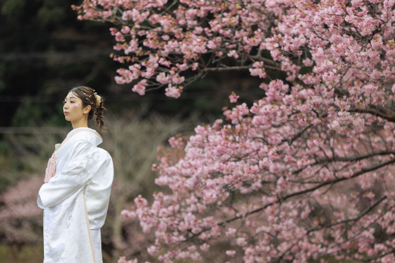 河津桜