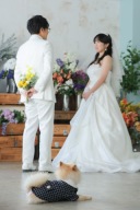 ハウススタジオの優しい雰囲気で、愛犬と記念撮影