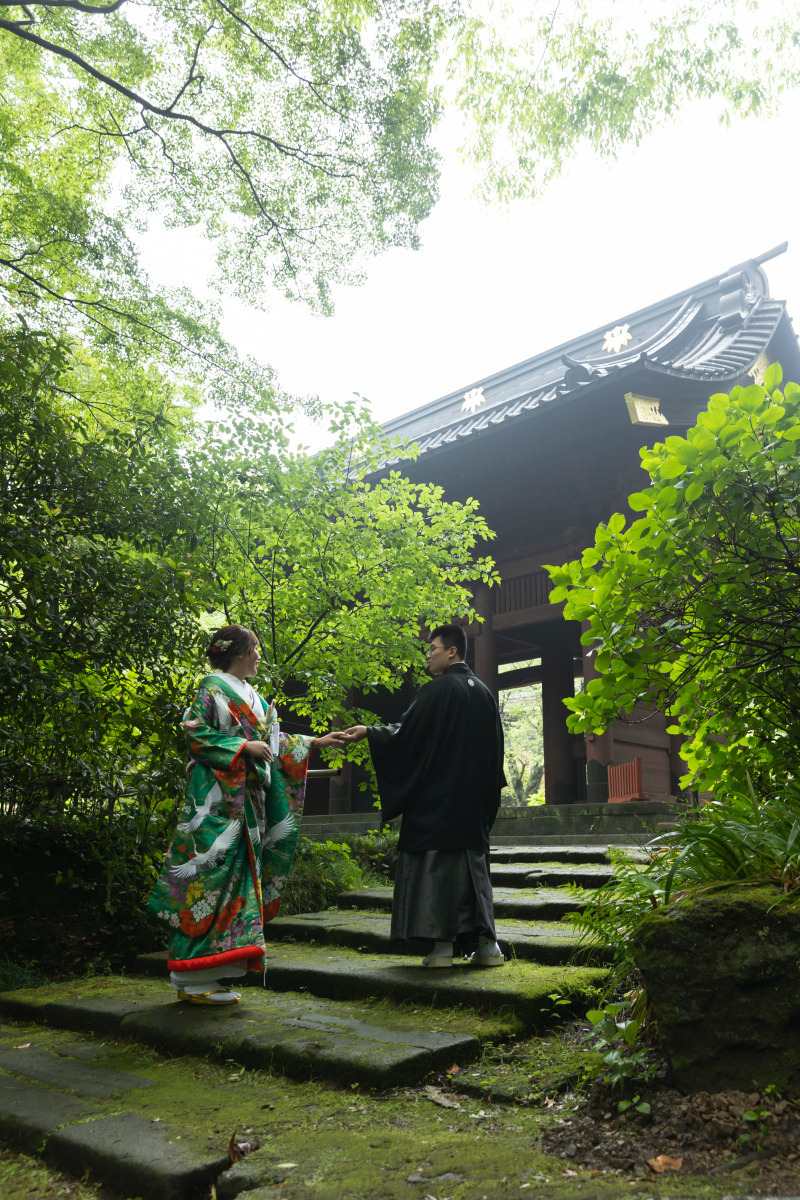 雨でも映える!新緑の妙本寺撮影