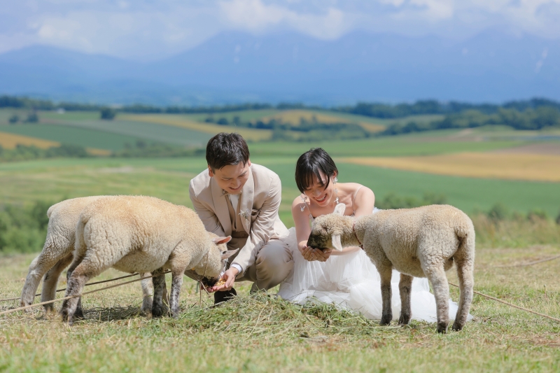 北海道で動物と触れ合えます!!
