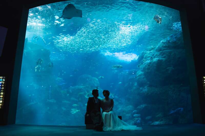 新江ノ島水族館