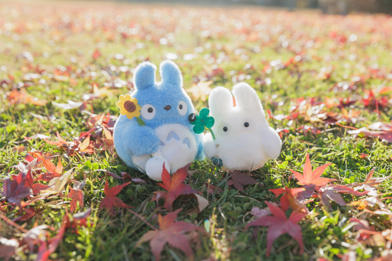 秋の富士和装周遊ロケーション！