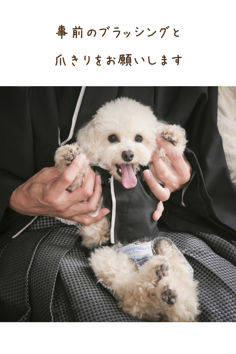 ペット撮影時のお願い