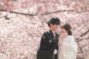 河津桜と一緒に素敵な写真を残しましょう♫