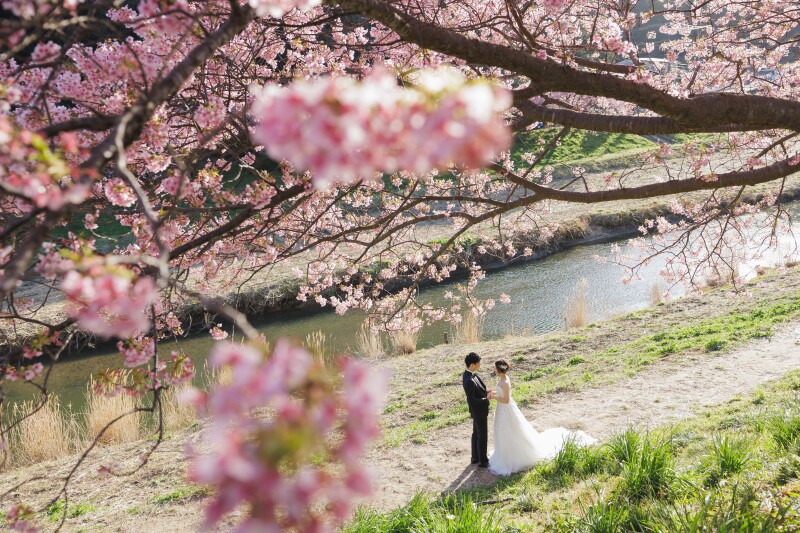 早咲きの桜のもとで【河津桜ロケーション】