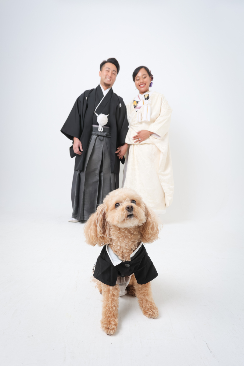 愛犬と和装ハウススタジオ