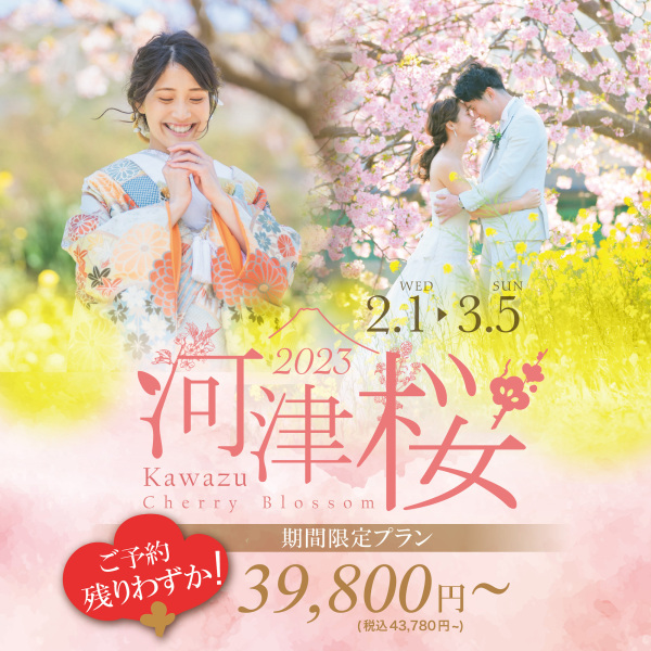 残りわずか！河津桜での撮影を楽しみませんか？