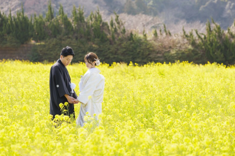2026年の河津桜ロケーション