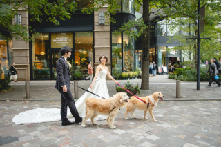 大型犬2匹と東京周遊！