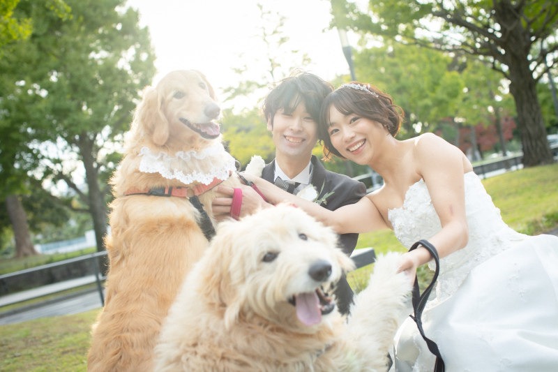 大型犬2匹と東京周遊!