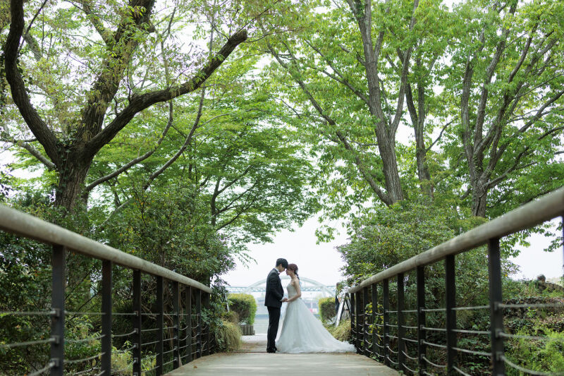 ネモフィラのご予約受付中です!