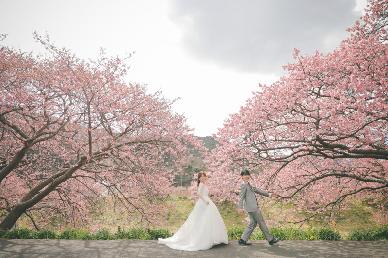 ご予約枠残りわずか!河津桜ロケーション