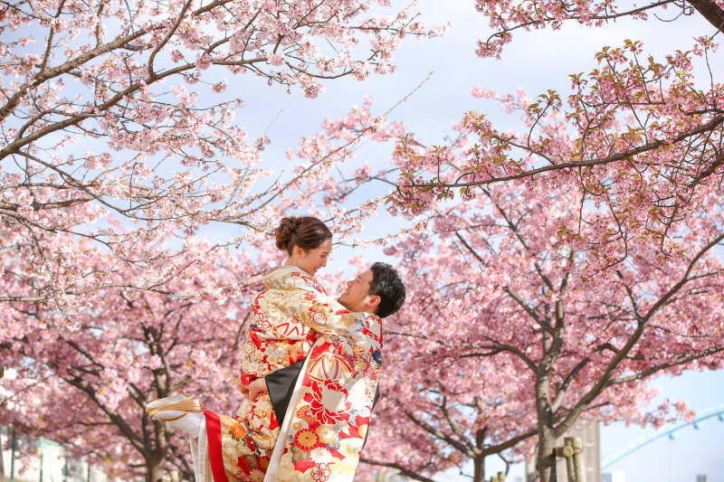 2月に満開の桜が撮れる「早咲き桜プラン」のご紹介!