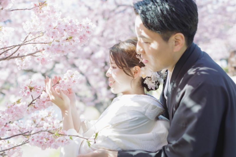 2026年の河津桜ロケーション